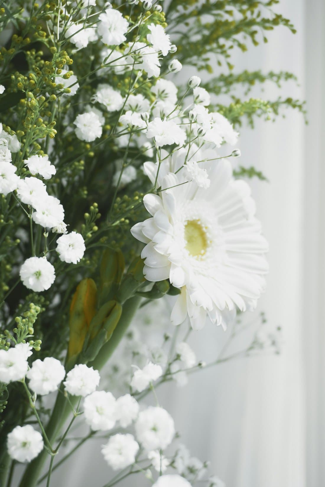 Fleurs blanches d hommage, evoquant douceur et souvenir